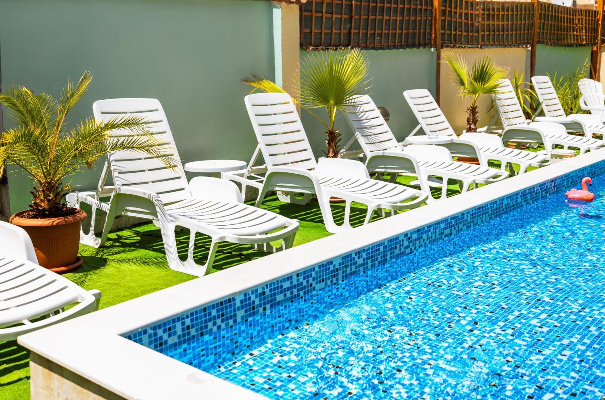 Paradise تشيرنوموريتس المظهر الخارجي الصورة