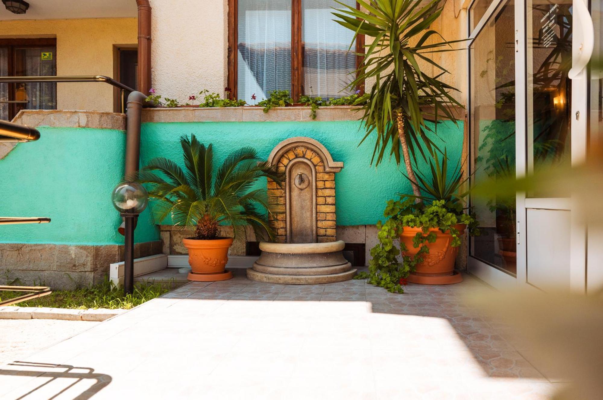 Paradise تشيرنوموريتس المظهر الخارجي الصورة